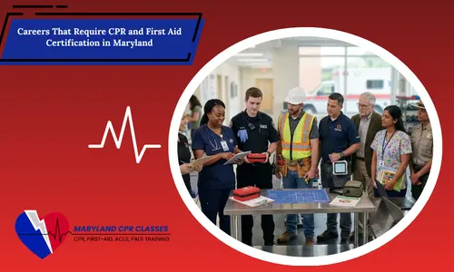 professionals reviewing cpr and first aid equipment
