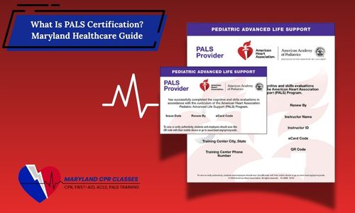 what is pals certification