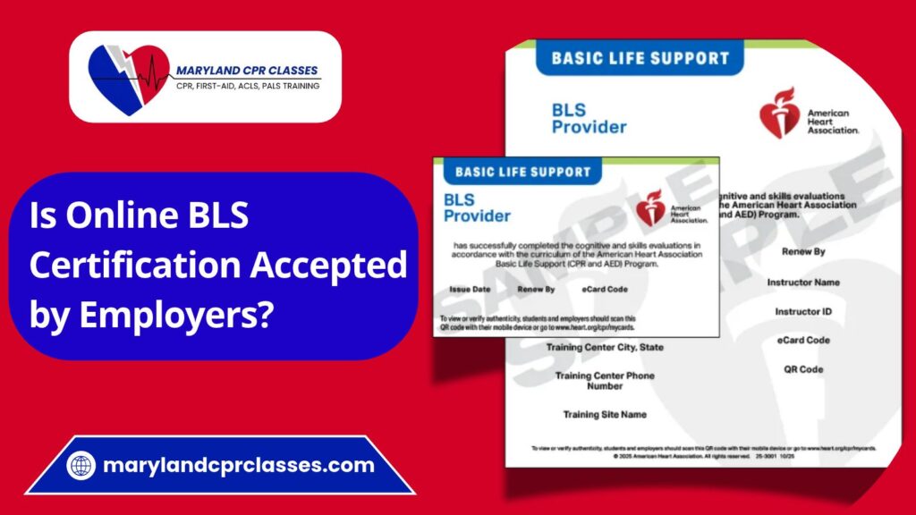 bls certification accepted by employers