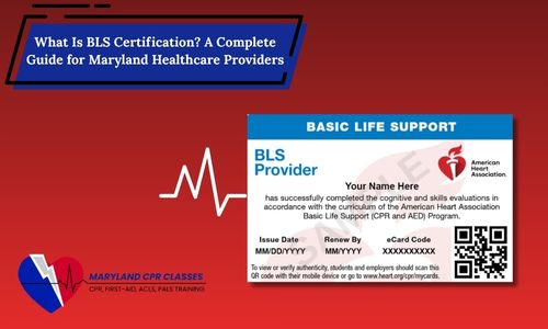 bls certification guide