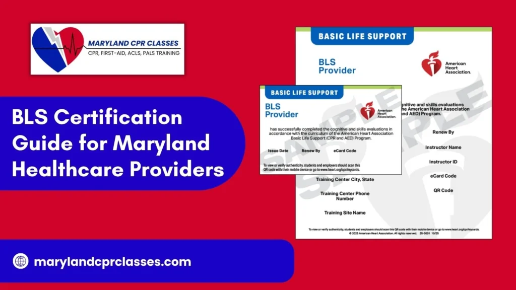 bls training for healthcare providers