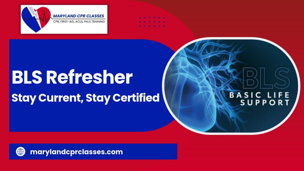 bls refresher md